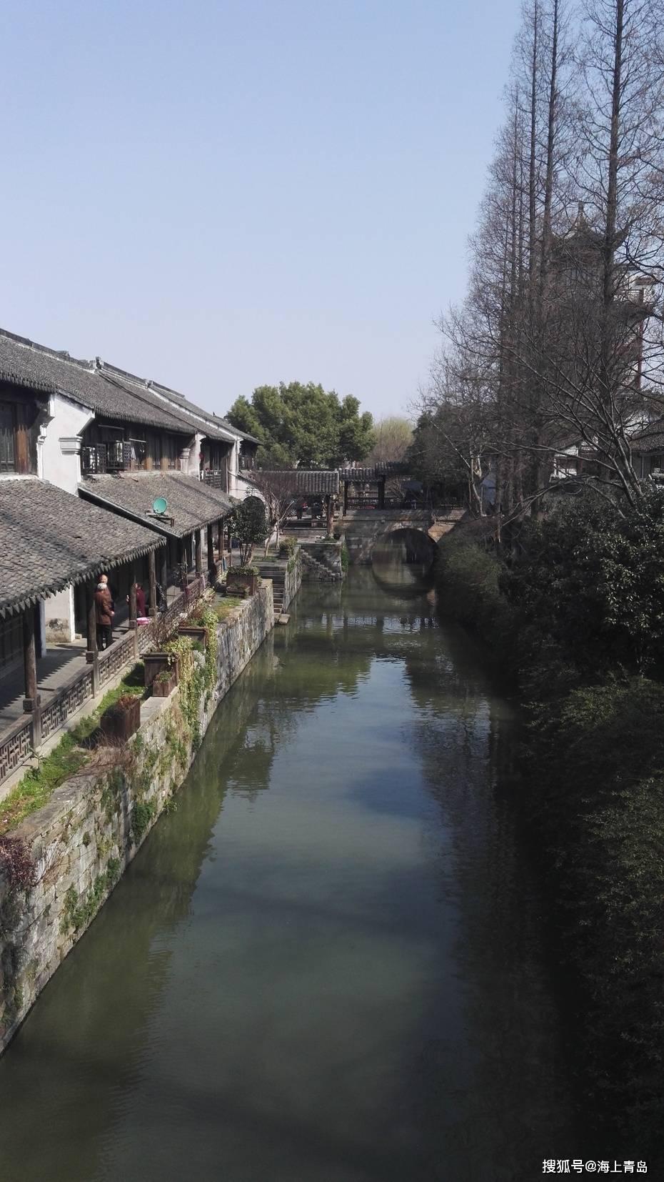 逃离白鸽之森